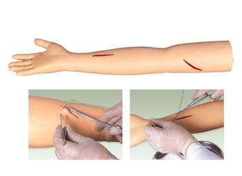 外科缝合模型,高级外科手臂缝合训练模型