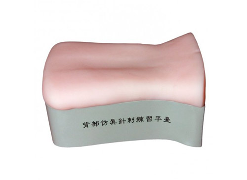 背部仿真针刺练习平台