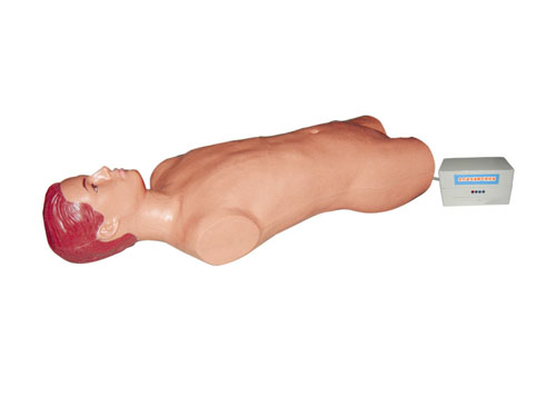 腹腔与股静脉穿刺电动模型