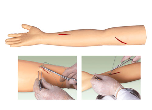 高级外科手臂缝合训练模型