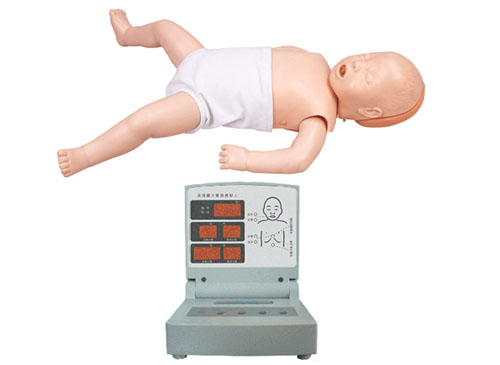 婴儿心肺复苏模型