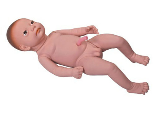 婴儿医学模型