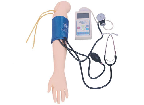 血压测量手臂训练模型