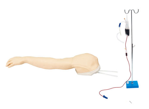 完整静脉穿刺输液手臂模型