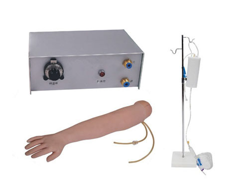 全功能静脉穿刺输液手臂模型（带循环装置）