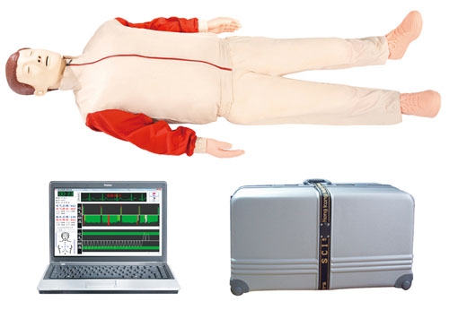 电脑综合CPR急救模型