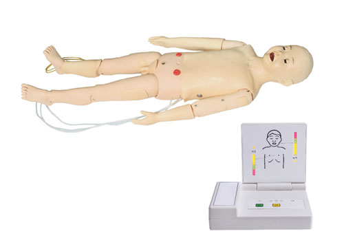 高级多功能五岁儿童综合急救训练模拟人