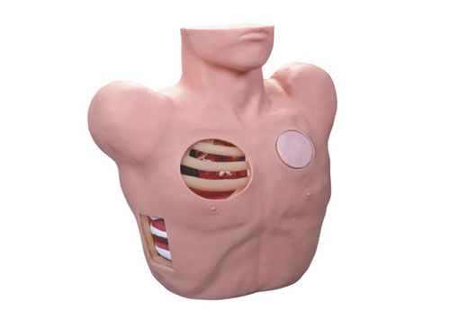 胸腔引流管模型