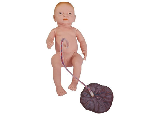 高级新生儿脐部胎盘护理模型