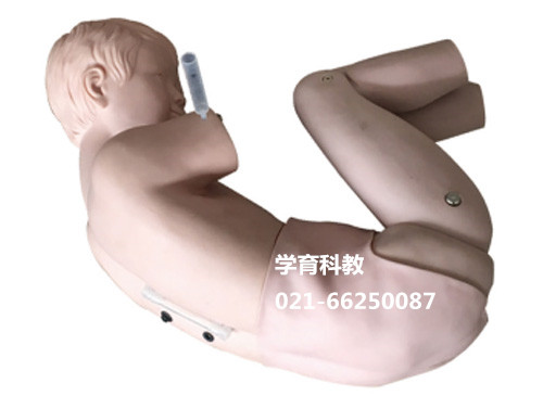 儿童腰椎穿刺术模型