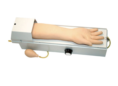 全功能旋转式桡动脉穿刺手臂模型