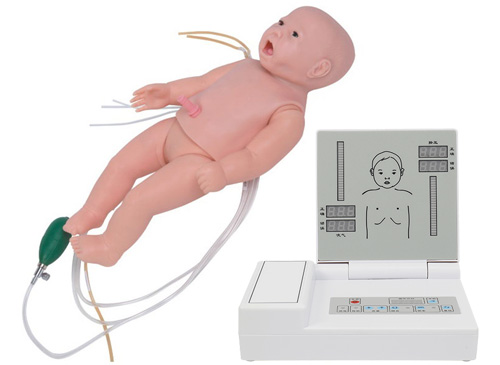 全功能新生儿高级模拟人（急救+护理+听诊）