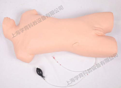 腹腔穿刺训练模型