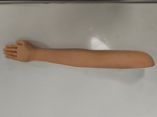 针灸手臂训练模型