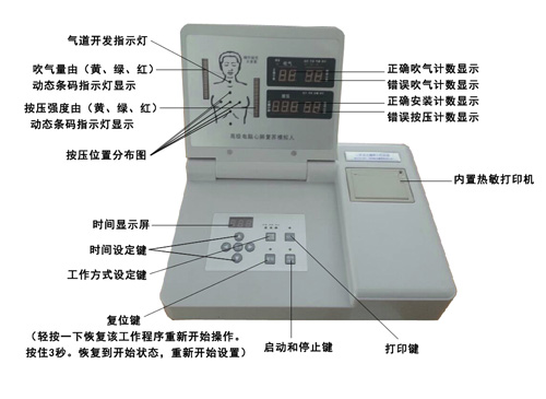 心肺复苏模拟人模型显示器