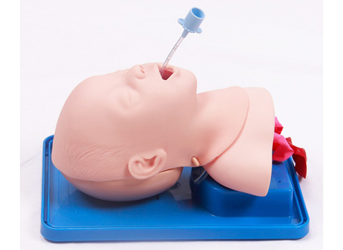 婴儿气管插管训练模型