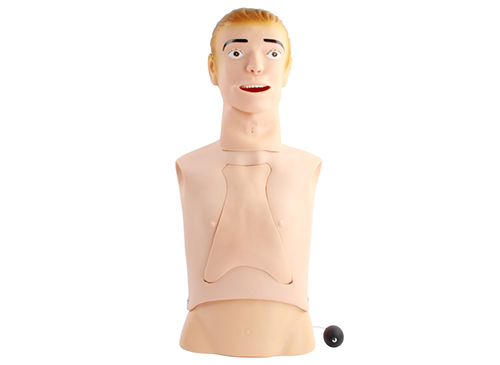 高级鼻饲管与气管护理模型