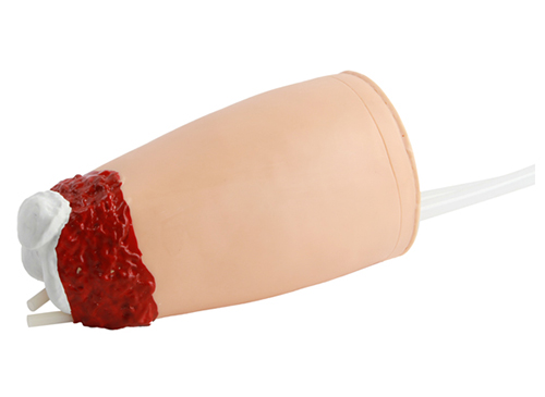 下肢外伤断肢止血模型