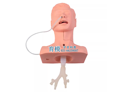 吸痰练习模型,高级吸痰练习模型