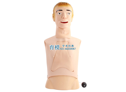 高级鼻饲管与气管护理模型