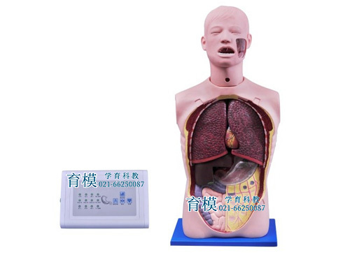 多功能透明洗胃训练模型