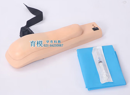 高级电子上臂肌肉注射训练模型