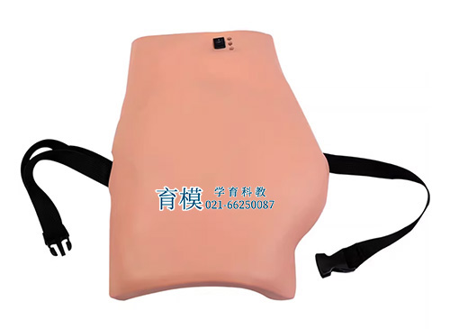 高级电子臀部注射训练模型