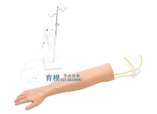高级老年人手臂静脉穿刺训练模型