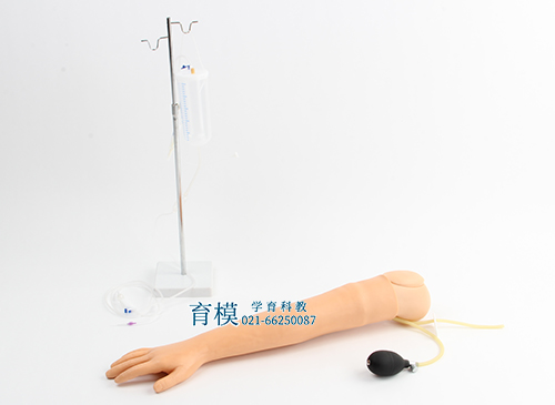 动脉穿刺手臂模型