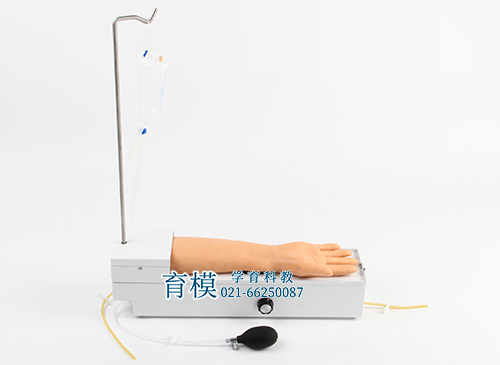 全功能旋转式桡动脉穿刺手臂模型