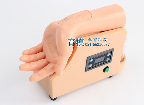 高级动脉血气分析训练模型