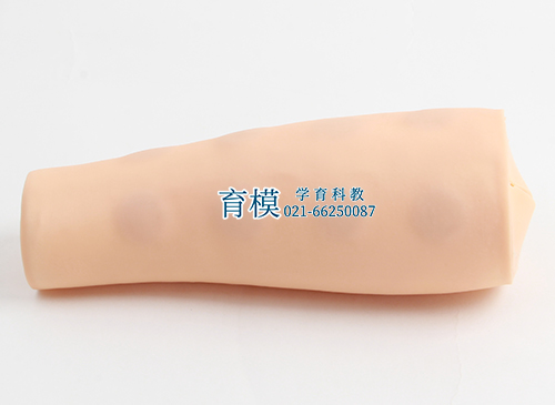 高级手臂皮内注射模型