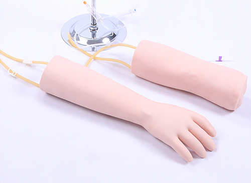 手部、肘部组合式静脉输液（血）训练模型