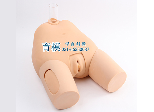 高级女性膀胱穿刺模型