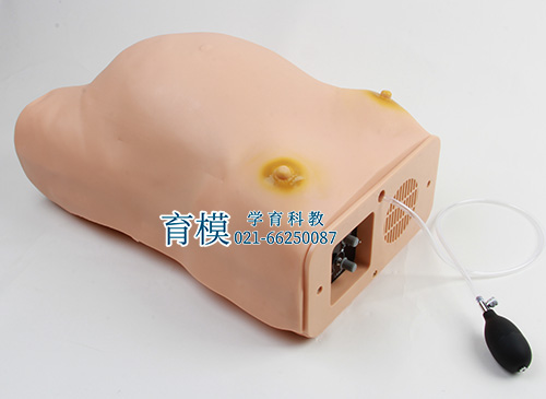 高级电脑孕妇检查模型