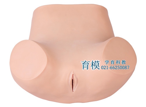 高级妇科训练模型