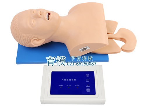 电子人体气管插管训练模型