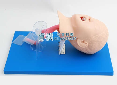 高级儿童气管插管模型