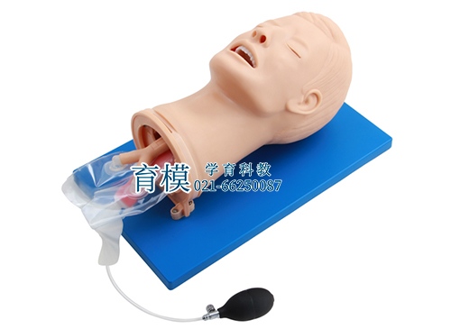 高级多功能气道管理模型