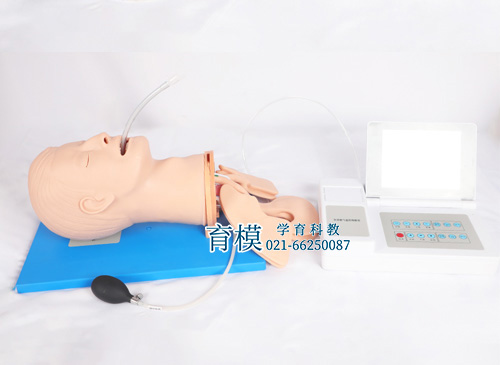 全功能气道管理模型