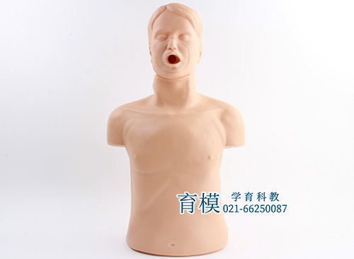 高级成人气道梗塞及CPR模型