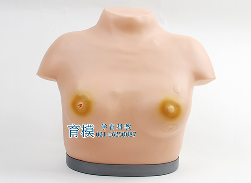 高级乳腺视诊与触诊模型