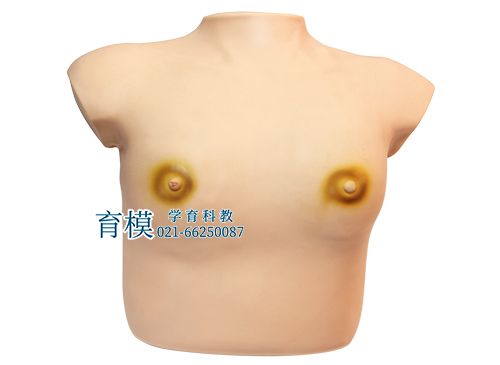 高级着装式乳房自检模型