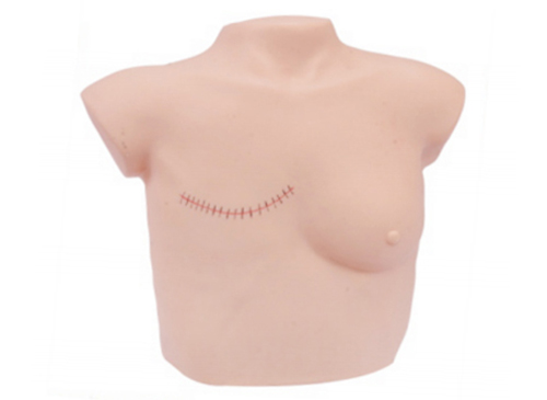 乳房检查及乳房切除术后护理模型