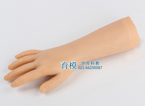 高级手部静脉穿刺训练模型