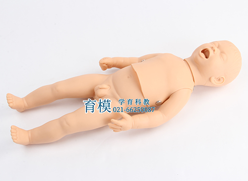 新生儿生长指标评定及护理训练模型