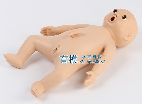 婴儿护理模型