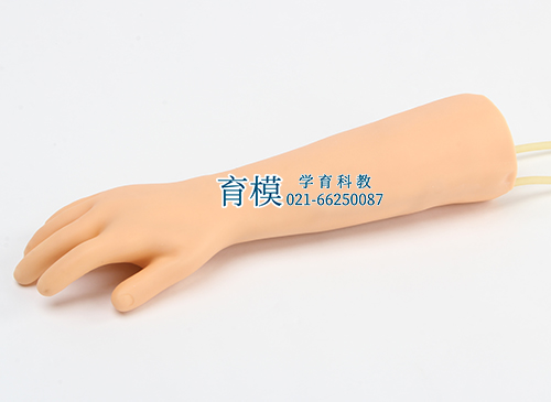 高级儿童手臂静脉穿刺模型