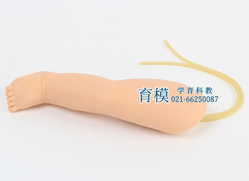 高级婴儿腿部静脉穿刺模型