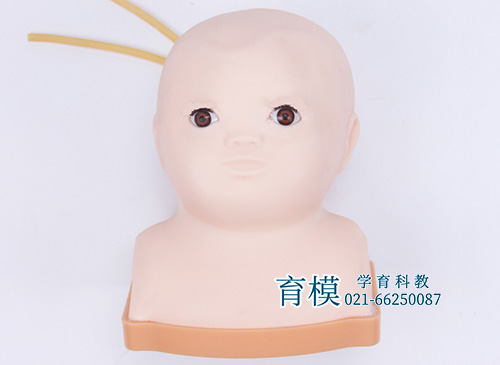 高级婴儿头部综合静脉穿刺模型